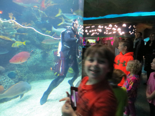 Kemah Boardwalk: The Aquarium Restaurant, Stingray Reef & Boardwalk ...